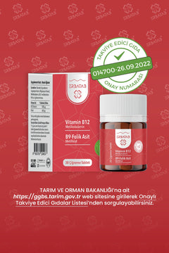 Erbatab Vitamin B12- Folik Asit B9 Tablet Metilkobalamin-Metilfolat